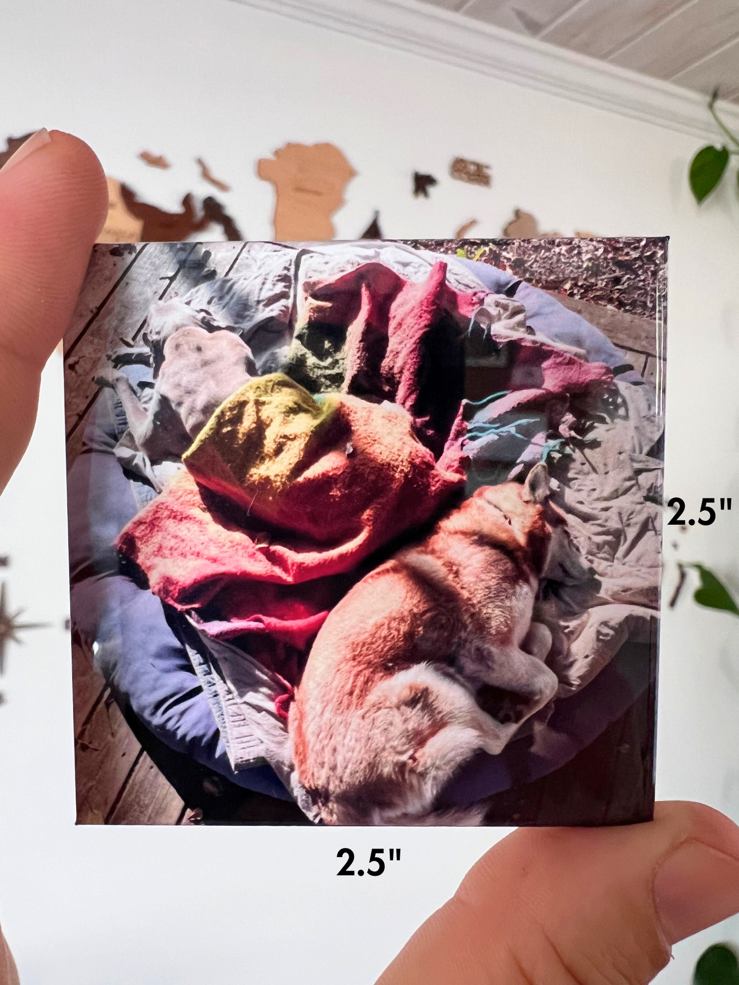 Custom Fridge Photo Magnet (2.5" x 2.5")